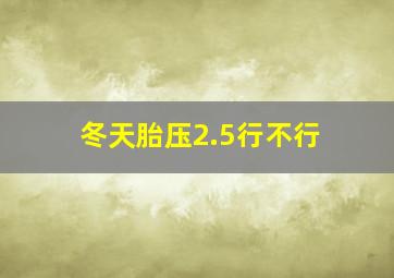 冬天胎压2.5行不行