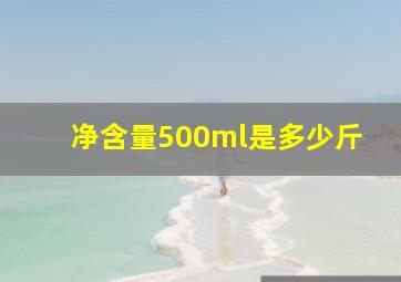 净含量500ml是多少斤