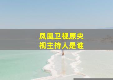 凤凰卫视原央视主持人是谁