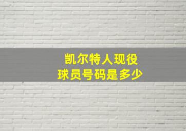 凯尔特人现役球员号码是多少