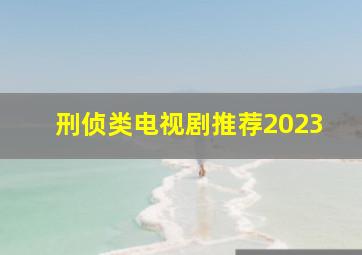 刑侦类电视剧推荐2023