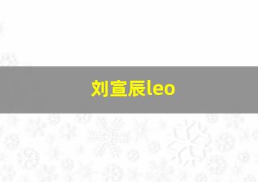 刘宣辰leo