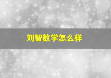 刘智数学怎么样