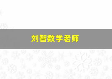 刘智数学老师