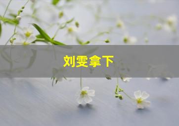 刘雯拿下