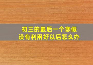 初三的最后一个寒假没有利用好以后怎么办