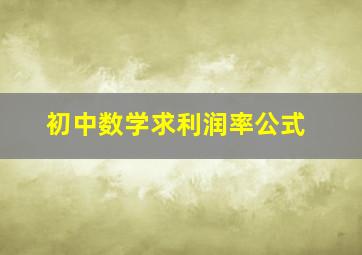 初中数学求利润率公式