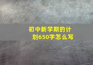 初中新学期的计划650字怎么写