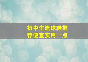 初中生篮球鞋推荐便宜实用一点