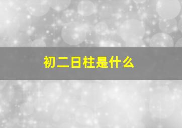 初二日柱是什么