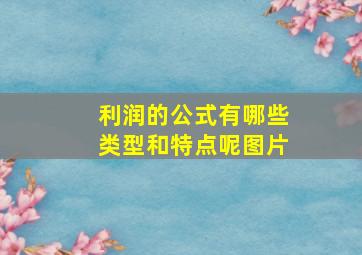 利润的公式有哪些类型和特点呢图片