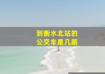 到衡水北站的公交车是几路