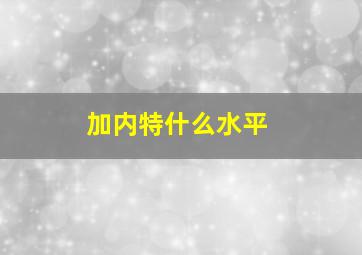 加内特什么水平