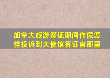 加拿大旅游签证期间作假怎样投诉到大使馆签证官那里