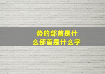 势的部首是什么部首是什么字