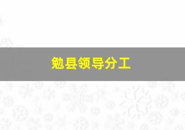 勉县领导分工