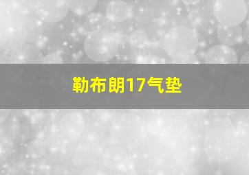 勒布朗17气垫