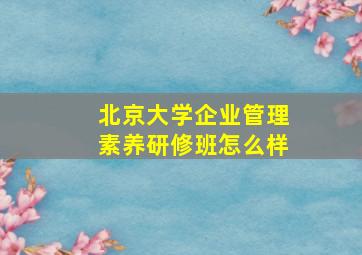 北京大学企业管理素养研修班怎么样