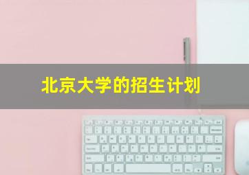 北京大学的招生计划