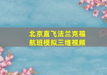 北京直飞法兰克福航班模拟三维视频