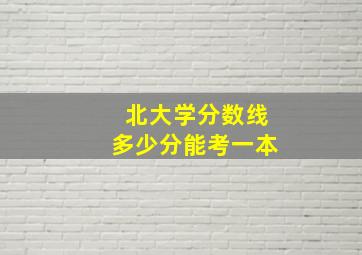 北大学分数线多少分能考一本