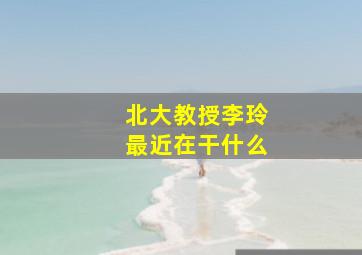 北大教授李玲最近在干什么