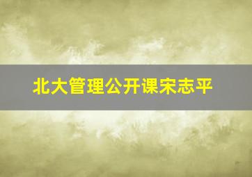 北大管理公开课宋志平