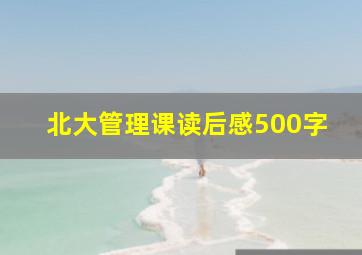 北大管理课读后感500字