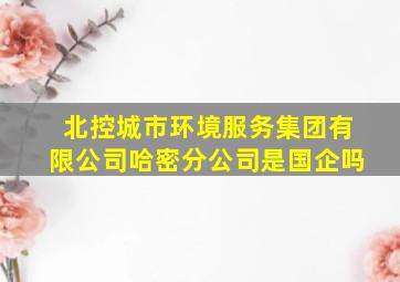 北控城市环境服务集团有限公司哈密分公司是国企吗