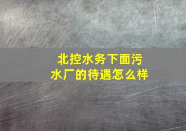 北控水务下面污水厂的待遇怎么样