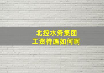 北控水务集团工资待遇如何啊