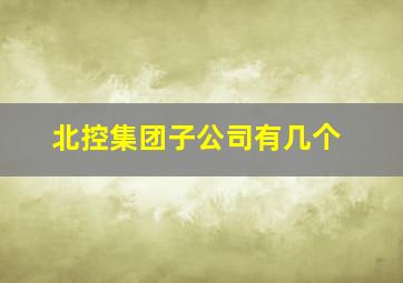 北控集团子公司有几个