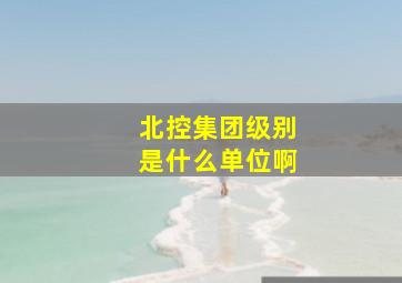 北控集团级别是什么单位啊