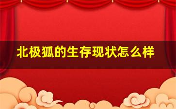 北极狐的生存现状怎么样