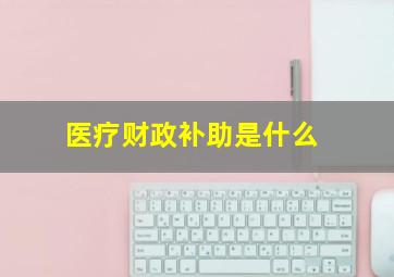 医疗财政补助是什么