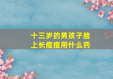 十三岁的男孩子脸上长痘痘用什么药