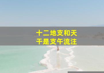 十二地支和天干是支午流注