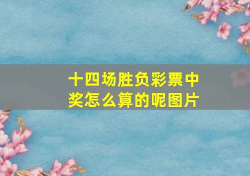 十四场胜负彩票中奖怎么算的呢图片