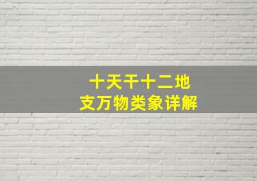 十天干十二地支万物类象详解