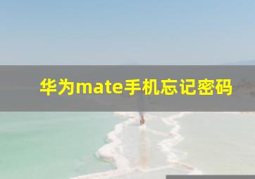 华为mate手机忘记密码