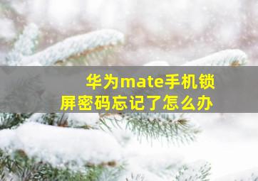 华为mate手机锁屏密码忘记了怎么办