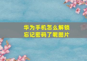 华为手机怎么解锁忘记密码了呢图片