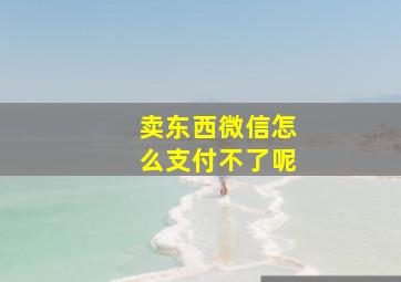 卖东西微信怎么支付不了呢