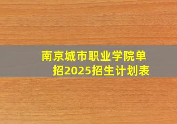 南京城市职业学院单招2025招生计划表