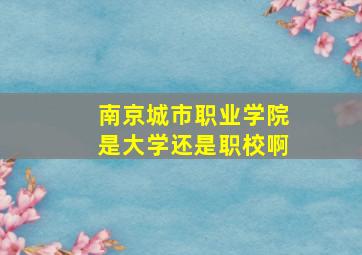 南京城市职业学院是大学还是职校啊