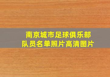 南京城市足球俱乐部队员名单照片高清图片