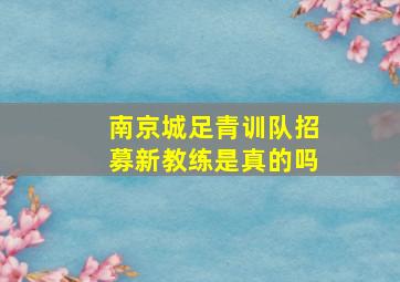 南京城足青训队招募新教练是真的吗