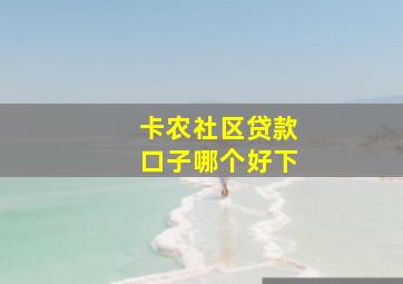 卡农社区贷款口子哪个好下