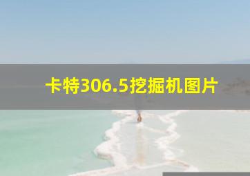 卡特306.5挖掘机图片