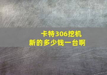 卡特306挖机新的多少钱一台啊